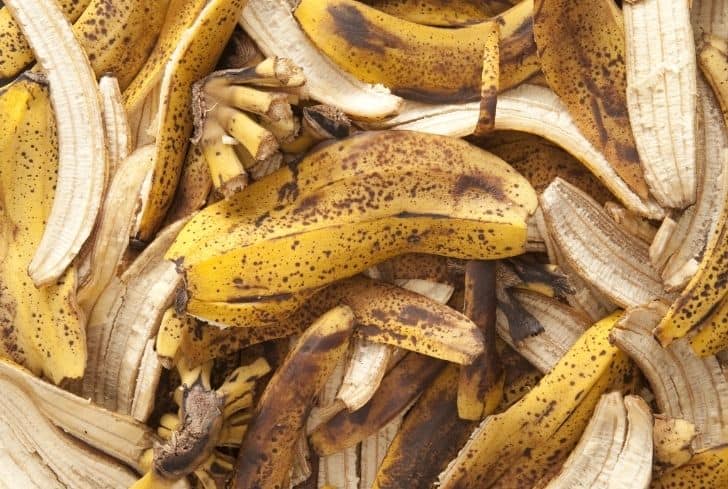 食品销毁|香蕉皮销毁及堆肥